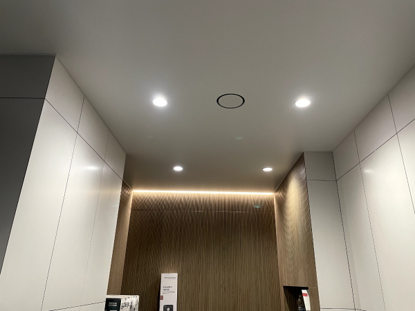 Матовый потолок с точечными светильниками