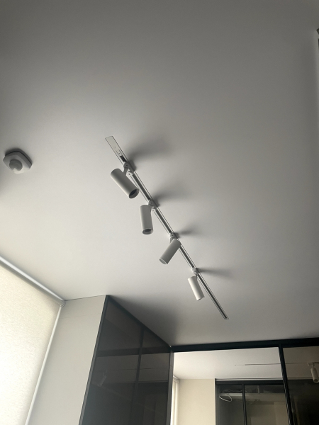 Потолок с трековыми светильниками